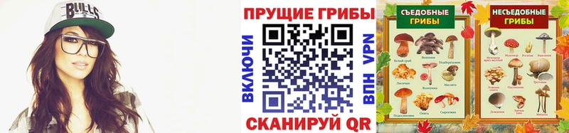 Псилоцибиновые грибы мицелий  продажа наркотиков  Когалым 