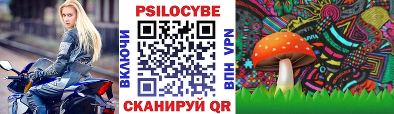 Псилоцибиновые грибы Psilocybe Когалым